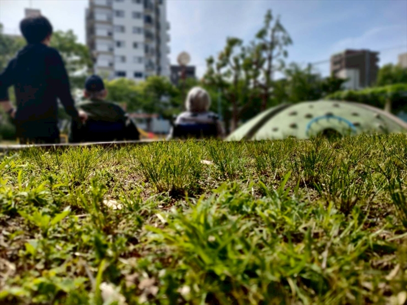 LINE_ALBUM_ホームページ素材_250507_11_R